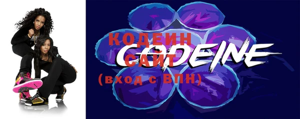 ГАЛЛЮЦИНОГЕННЫЕ ГРИБЫ Строитель