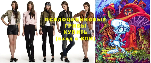 МДПВ Бронницы