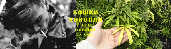 МДПВ Бронницы