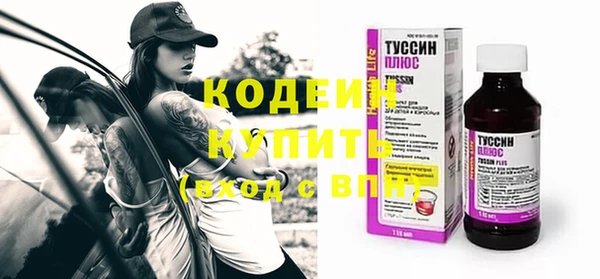 ГАЛЛЮЦИНОГЕННЫЕ ГРИБЫ Строитель